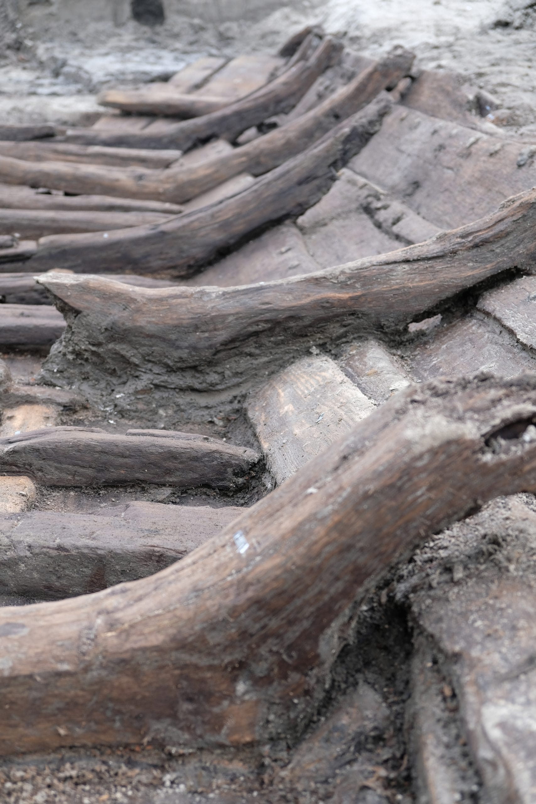 Drewniana łódź odkryta podczas badań archeologicznych.