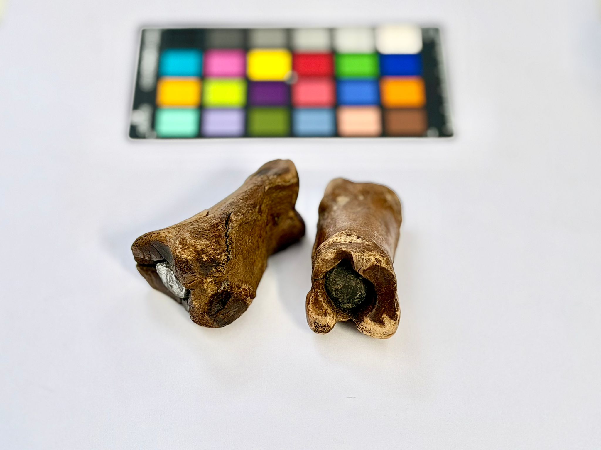 Archeologia i dokumentacja: dwa dociążone ołowiem kościane pionki do gry kooten na tle profesjonalnej palety wzorcowej barw.